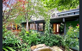 The Black Cockatoo - Secret Garden Treetops Home