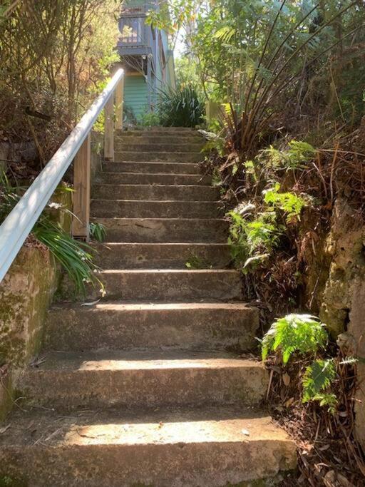 The Black Cockatoo - Secret Garden Treetops Home Katoomba Exterior photo