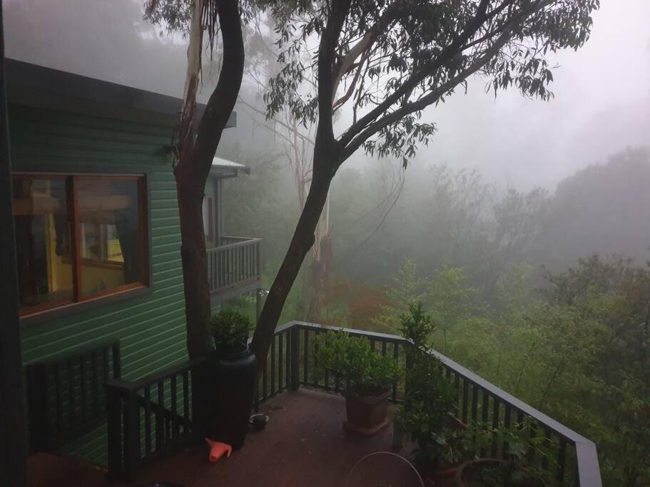 The Black Cockatoo - Secret Garden Treetops Home Katoomba Exterior photo