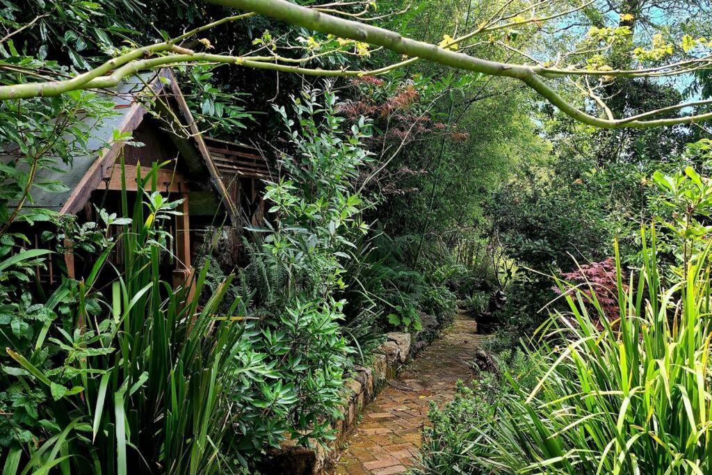 The Black Cockatoo - Secret Garden Treetops Home Katoomba Exterior photo