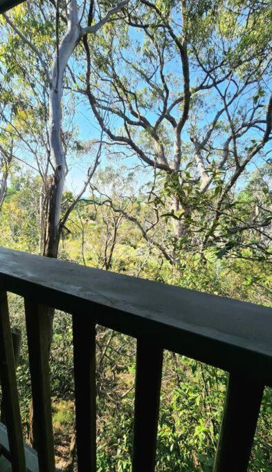 The Black Cockatoo - Secret Garden Treetops Home Katoomba Exterior photo